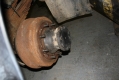 2011-12-28 ADK70  037